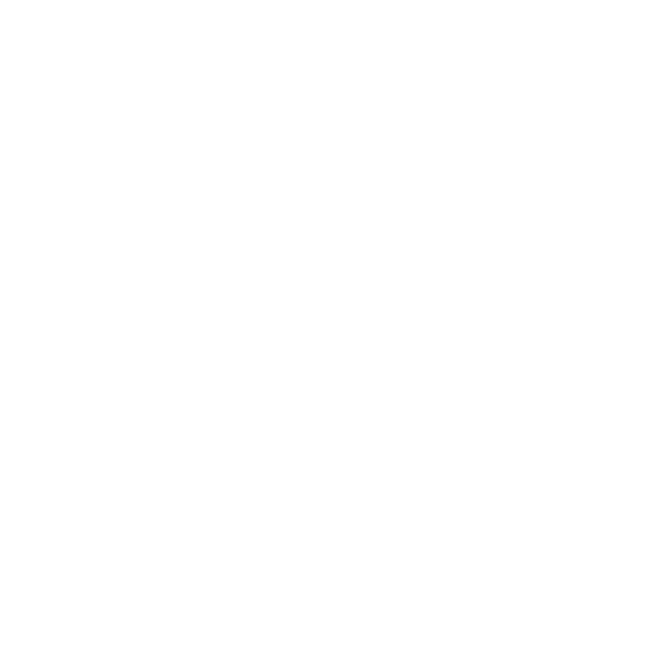 AML Group